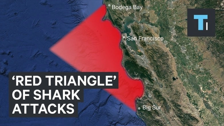 Shark Battleground: Red Triangle (2007)