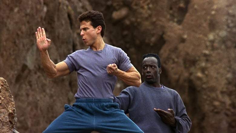 Showdown (1993)