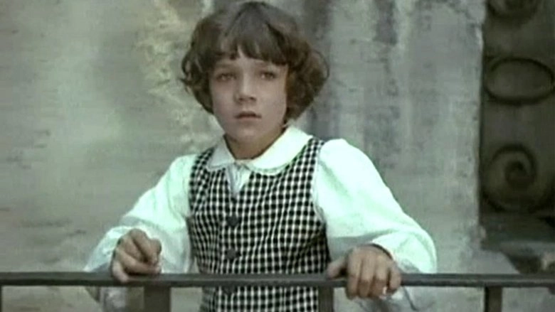 Udivitelnyy Malchik (1971)