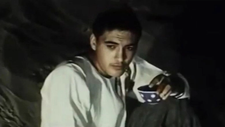 The Steed Kidnapping (1978)