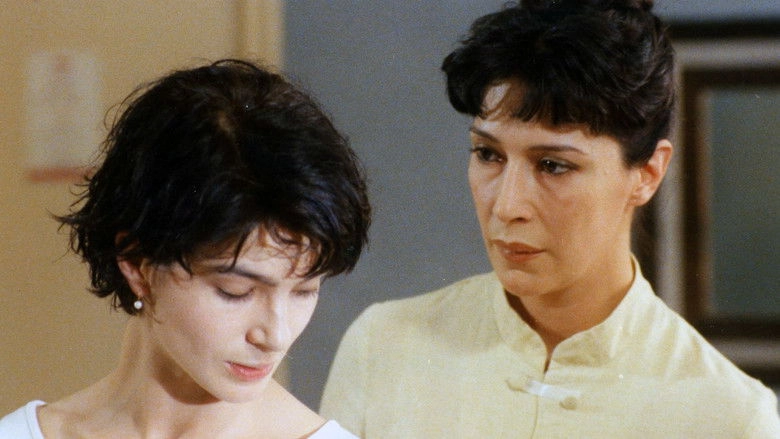 Une Vue Imprenable (1995)