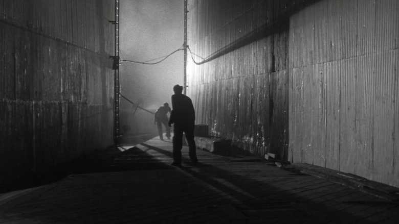 Panic In The Streets (1950)