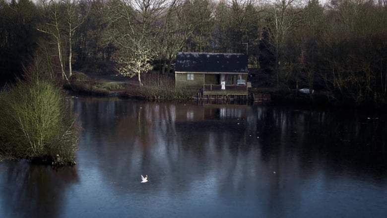 House On Elm Lake (2017)