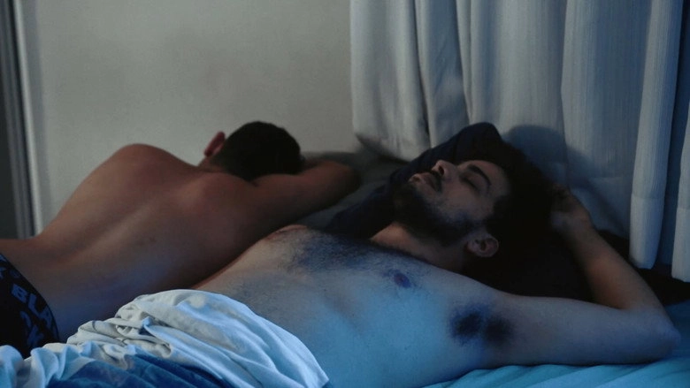 A Noite Estava Fria (2017)