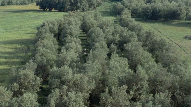 Through The Olive Trees (1995)