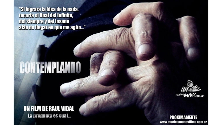 Contemplando (2011)