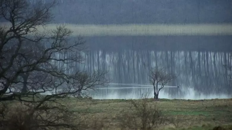 The New Land (1972)