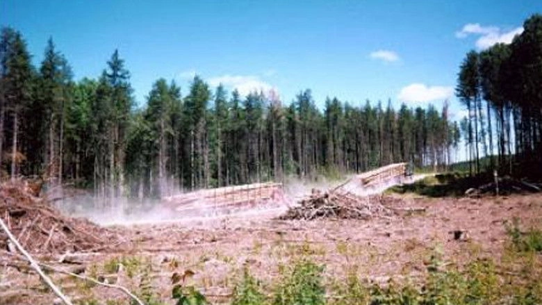 L'erreur Boreale (1999)