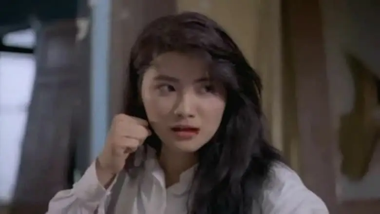 Madam City Hunter (1993)