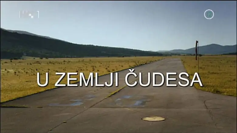 U Zemlji Cudesa (2009)