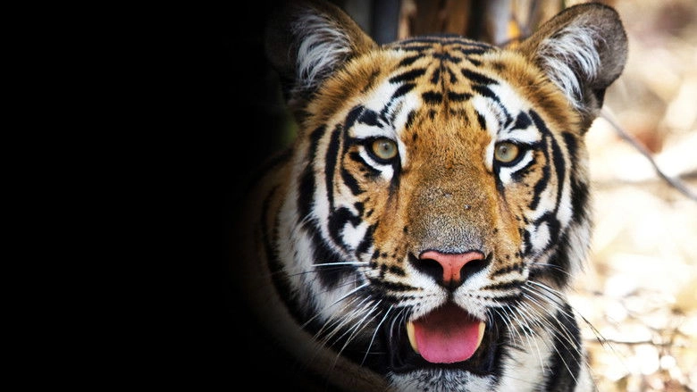 Tigress Blood (2014)