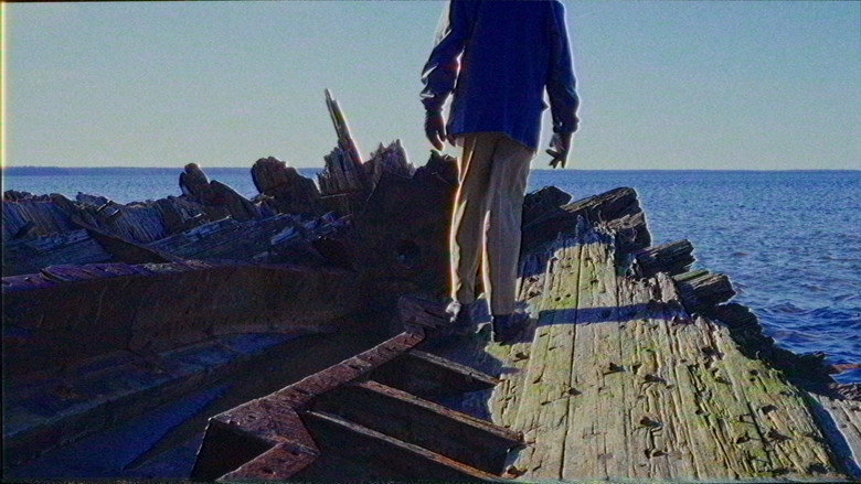 The Terror Of The Gulls (2026)