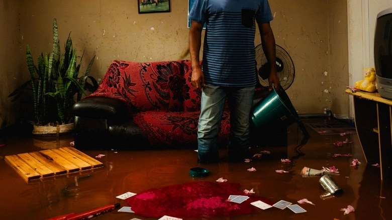 Arrudas Boulevard (2026)