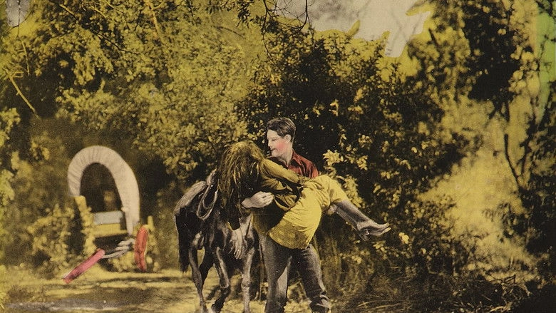 The Scrappin' Kid (1926)