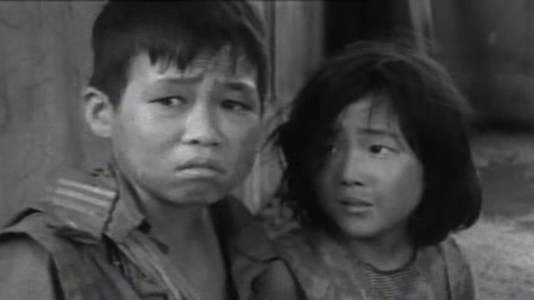 The Demilitarized Zone (1965)