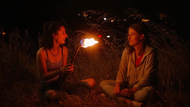Moth (2020)