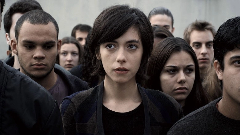3% (2011)
