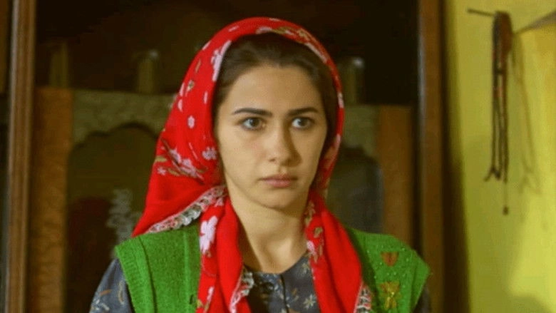 Dilber's Eight Days (2009)