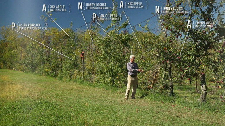The Permaculture Orchard: Beyond Organic (2014)