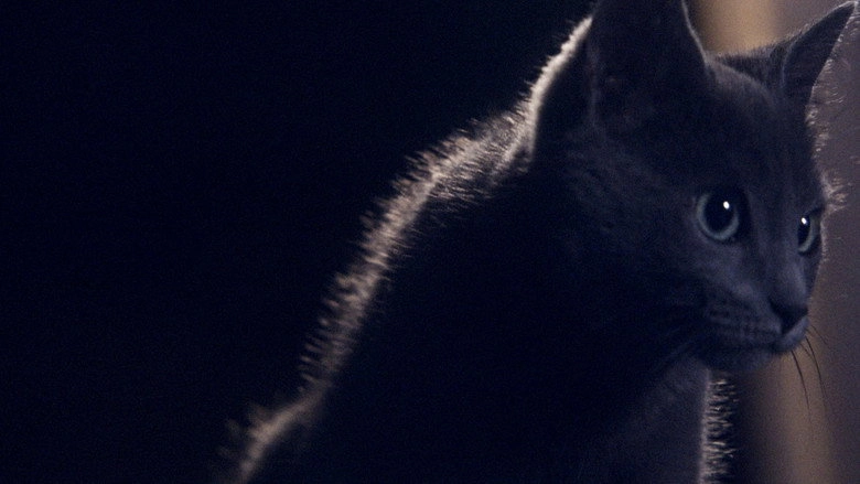 Somos Animales (2023)