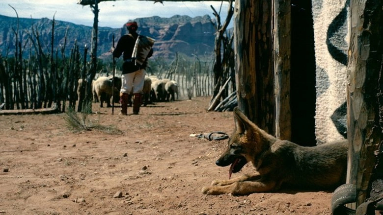 Concho, The Coyote Who Wasn't (1966)