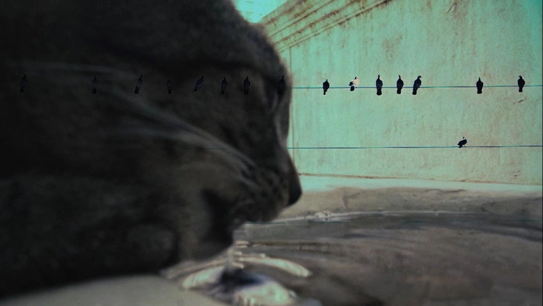 7 Vidas (2025)