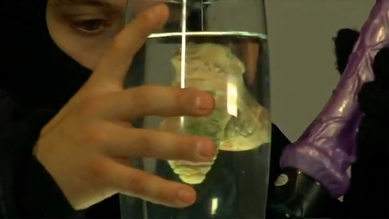 Ellos Robaron La Picha De Hitler (2008)