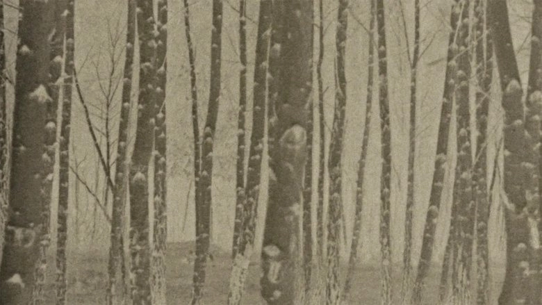 Film Dedicated To Water And Trees (2023)