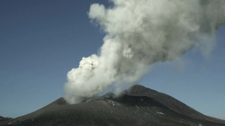 Survivre Aux Catastrophes: Les Strategies De La Nature (2020)