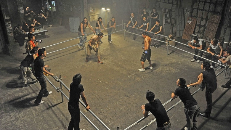 New Brawler's Way (2013)