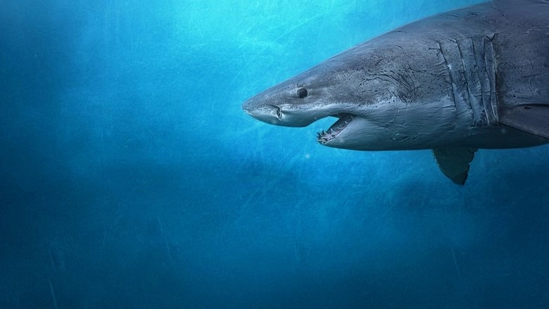 Sharks Of The North (2025)