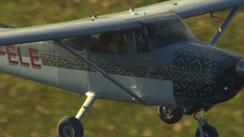 Big Cat Odyssey (2010)