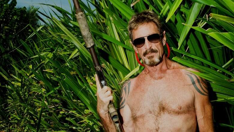 Gringo: The Dangerous Life Of John McAfee (2016)