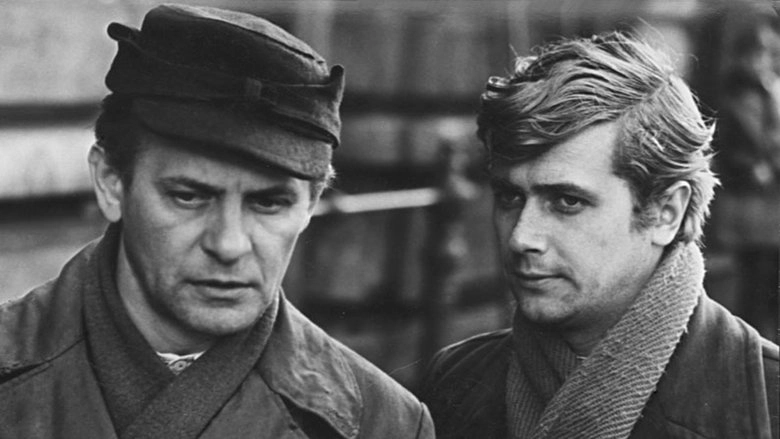 Stajnia Na Salvatorze (1967)