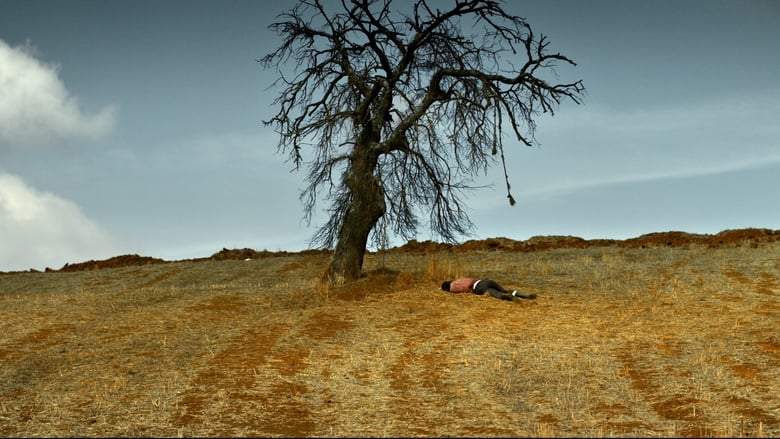 The Wild Pear Tree (2018)