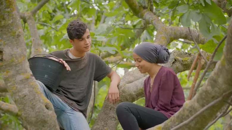Under The Fig Trees (2022)