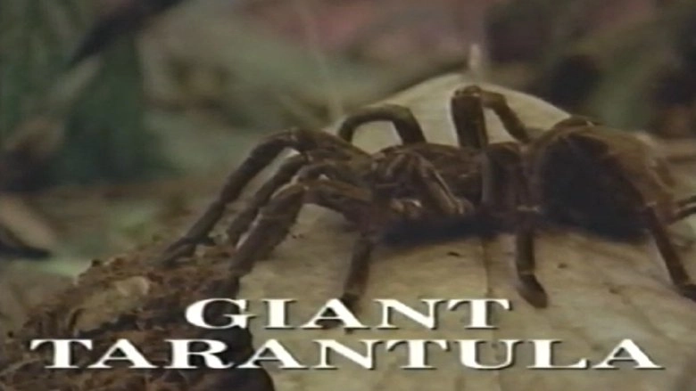Predators Of The Wild: Giant Tarantula (1993)