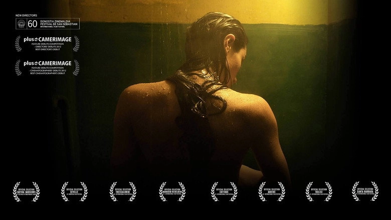 Seagull (2012)