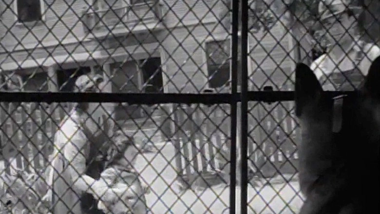 Killer-Dog (1936)