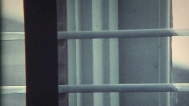 White (1996)