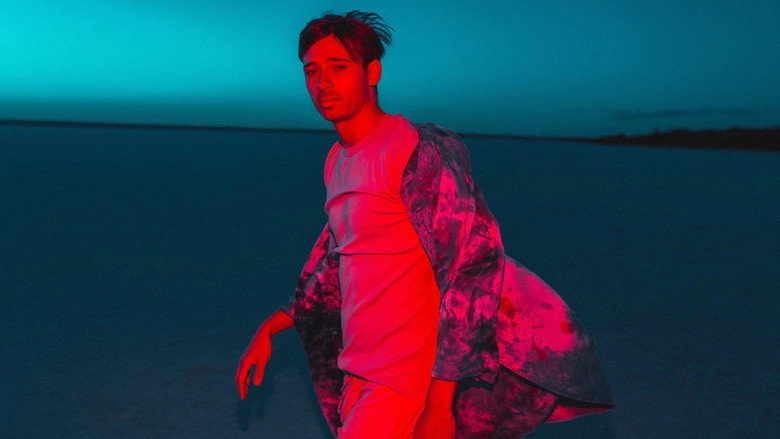 Hi This Is Flume (2019)
