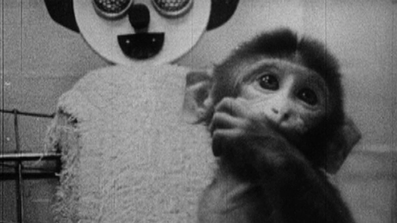 Star Spangled To Death (2004)