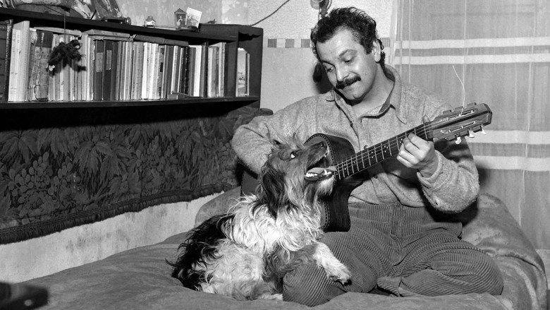 Le Regard De Georges Brassens (2013)