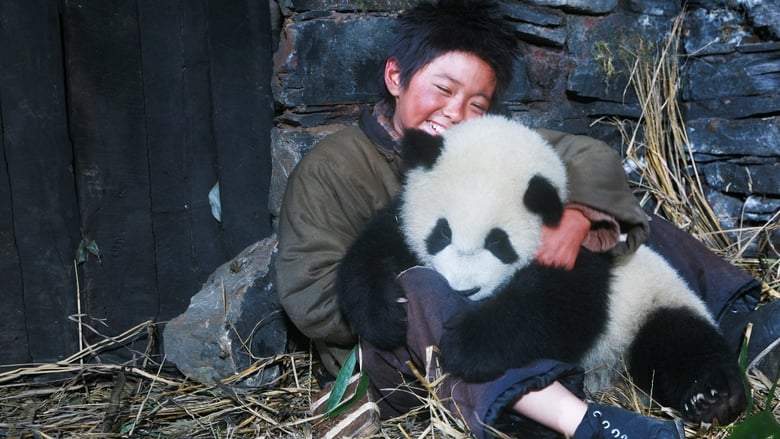 Xiong Mao Hui Jia Lu (2009)