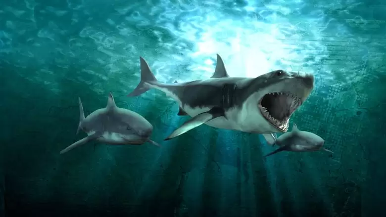 Shark Queens (2022)