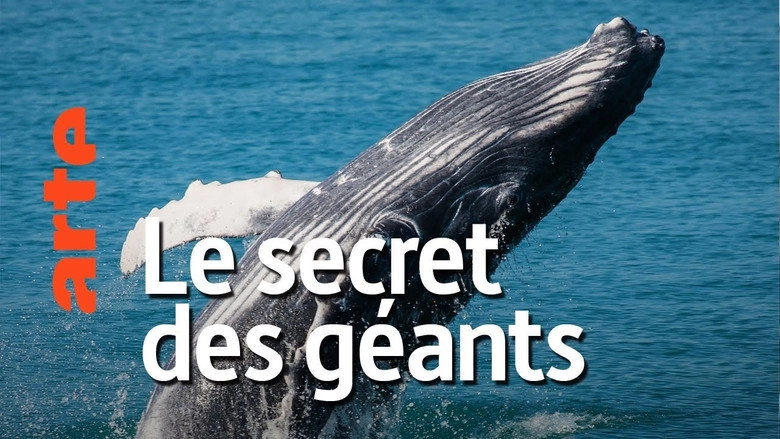 The Cradle Of Whales (2015)