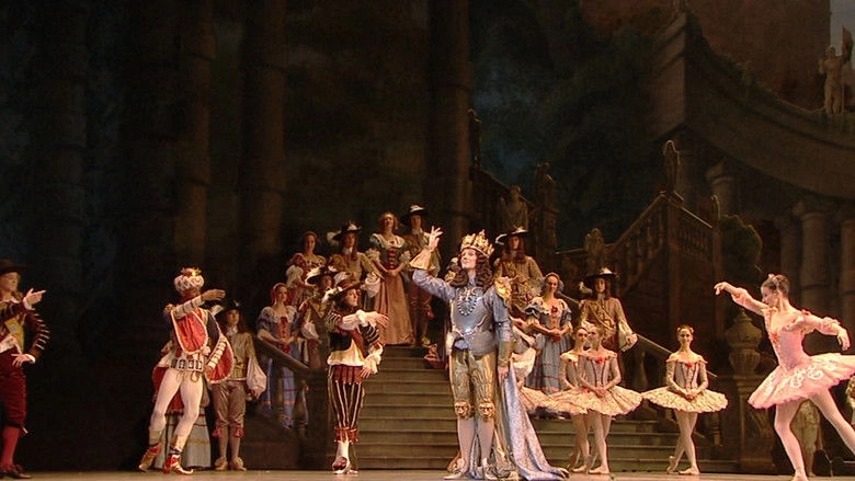 The Sleeping Beauty (2011)