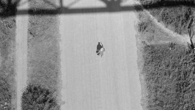 Antigravitacija (1995)