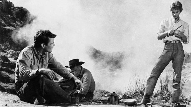 From Hell To Texas (1958)