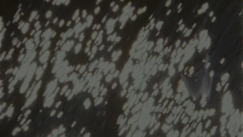 The World (2009)